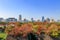 Beautiful cityscape with colorful woods foregroud and blue sky background, viewed from  the Osaka Castle Park,Osaka,Japan