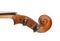 Beautiful classic violin isolated, closeup. Musical instrument