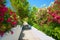 Beautiful classical Greek hotel road pathway to sea beach for tourists among red white rose colorful red rose white flowers and gr