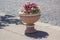 Beautiful classical stone flowerpot