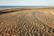 The beautiful and clean beaches of Barcelona