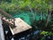 Beautiful clear green water lake with tree forest roots and wooden stairway waterfront in Krabi, Thailand national park.