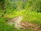 Beautiful clear river and waterfall flow in tropical forest