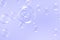 Beautiful clear soap bubbles float on purple background