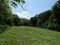 Beautiful clearing in the forest with lush meadow