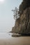 Beautiful cliff on the Oregon coast with tree growing out of it on a sunny summer day