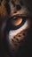 Beautiful close-up of a Cheetah eye on black background, Acinonyx jubatus