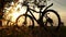 Beautiful close up scene of bicycle at sunset, sun on blue sky with vintage colors, silhouette of bike forward to sun.
