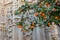 Beautiful close up of Sevilla Cathedral carvings and orange trees