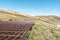 Beautiful close-up view of the rusty steel boardwalk connecting the summit of Mount Kosciuszko 2228m above sea level & Thredbo.