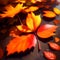 Beautiful Closeup Falling Leaves Autumn