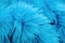 Beautiful closeup feather background in turquoise blue and teal colors