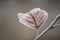 Beautiful closeup of ice crystals on autumn leaf