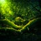 Beautiful closeup of moss growing on the forest floor in spring. Small natural scenery in woodlands. Shallow depth of field.