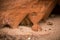 A beautiful closeup of a sandstone cliffs in Latvia. Close pattern of a sand formations. Sandstone caves at the seaside.