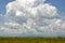 Beautiful cloud formation above a pasture field