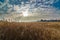 Beautiful cloud formation and dried yellow grass