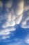 Beautiful clouds with blue sky background. Nature weather, mammatus cloud sky.