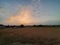 Beautiful Clouds with riped wheats field