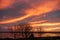 Beautiful clouds at sunset with winter trees and a person silhouetted. The golden light is reflected in the coastal bay