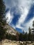Beautiful clouds and trees in the Sierra Nevadas