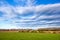 Beautiful cloudscape over green meadows