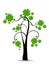 A beautiful clover tree on white background.