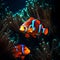Beautiful clown fish in the ocean - ai generated image