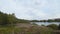 Beautiful coast of the lake, flowering trees and grass