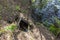 Beautiful coast line landscape view. Tree roots around groove leading to lake water.