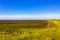 Beautiful coast mudflats and wadden sea seascape landscape Dorum Germany