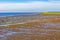 Beautiful coast mudflats and wadden sea seascape landscape Dorum Germany