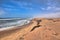 Beautiful coast in Sandwich Harbour area, Namibia