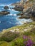 Beautiful coastal cliffs in Brittany with heath