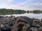 Beautiful coastal marsh swamp photo