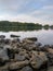 Beautiful coastal marsh swamp photo