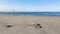 Beautiful coastal red an white lighthouse standing on top of an s sand dunes rising above ocean in clear sunny weather