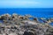 Beautiful coastline at Owhiro Bay in Wellington, North Island, New Zealand