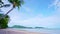 Beautiful coconut palm trees on the beach Phuket Thailand, Patong beach Islands Palm trees on the beach