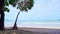 Beautiful coconut palm trees on the beach Phuket Thailand, Patong beach Islands Palm trees on the beach