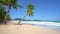 Beautiful coconut palm trees on the beach Phuket Thailand Patong beach Islands Palms leafs Palms grove on beach with white sandy s