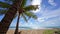 Beautiful coconut palm trees on the beach Phuket Thailand Patong beach Islands Palms leafs with sun light flare Palms grove on bea