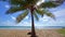 Beautiful coconut palm trees on the beach Phuket Thailand Patong beach Islands Palms leafs with sun light flare Palms grove on bea
