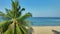 Beautiful coconut palm trees blue sky background