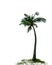 A beautiful coconut tree with its roots and grass at the base isolate on white background