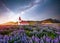 Beautiful collage Lutheran Church in Vik under fantastic starry sky. Iceland