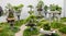 Beautiful Collection of bonsai trees with pots in a garden.