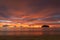 Beautiful color of cloud in the sky at sunrise above the ocean