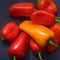 Beautiful color pepper