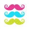 Beautiful colored mustache with different patterns.